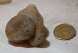 Botswana banded agates 5.5 oz (160 grams) 2 lapidary nodules - radiantrocksct