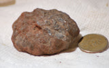 Botswana banded agates 6.0 oz (170 grams) 2 lapidary nodules - radiantrocksct