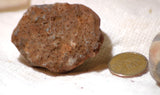 Botswana banded agates 6.0 oz (170 grams) 2 lapidary nodules - radiantrocksct