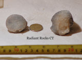 Botswana banded agates 5.6 oz (160 grams) 2 lapidary nodules - radiantrocksct