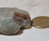 Botswana banded agates 5.6 oz (160 grams) 2 lapidary nodules with windows - radiantrocksct