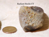 Botswana banded agates 5.6 oz (160 grams) 2 lapidary nodules with windows - radiantrocksct