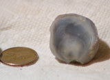 Botswana banded agates 5.2 oz (145 grams) 2 lapidary nodules with windows - radiantrocksct