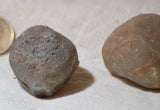 Botswana banded agates 8.2 oz (230 grams) 3 lapidary nodules - radiantrocksct