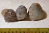 Botswana banded agates 8.2 oz (230 grams) 3 lapidary nodules - radiantrocksct