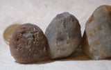 Botswana banded agates 8.2 oz (230 grams) 3 lapidary nodules - radiantrocksct
