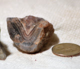 Botswana banded agates 9.4 oz (265 grams) 4 pieces deep red and purple - radiantrocksct