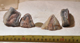 Botswana banded agates 9.4 oz (265 grams) 4 pieces deep red and purple - radiantrocksct