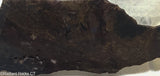 Chinese Pietersite Lapidary Slab  - Radiant Rocks CT