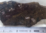 Chinese Pietersite Lapidary Slab  - Radiant Rocks CT