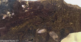 Chinese Pietersite Lapidary Slab  - Radiant Rocks CT