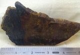 Chinese Pietersite Lapidary Slab  - Radiant Rocks CT