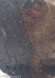 Chinese Pietersite Lapidary Slab  - Radiant Rocks CT