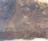 Chinese Pietersite Lapidary Slab  - Radiant Rocks CT