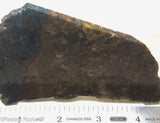 Chinese Pietersite Lapidary Slab  - Radiant Rocks CT