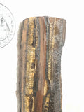 Variegated Tiger's Eye lapidary cabochon slab 1 oz (25 grams) - radiantrocksct