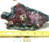 Green Red Moss Agate 8.4 oz (240 grams) - radiantrocksct