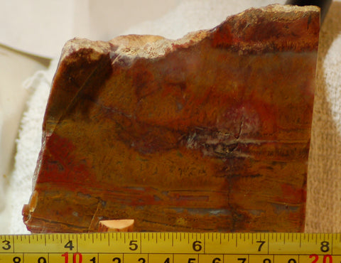 Java Flame, Indonesian Sagenite Agate 7.2oz  lapidary slab (204 grams) - radiantrocksct