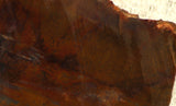 Java Flame, Indonesian Sagenite Agate 7.2oz  lapidary slab (204 grams) - radiantrocksct