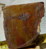 Java Flame, Indonesian Sagenite Agate 6.8 oz  lapidary slab (193 grams) - radiantrocksct
