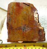Java Flame, Indonesian Sagenite Agate 6.8 oz  lapidary slab (193 grams) - radiantrocksct