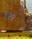 Java Flame, Indonesian Sagenite Agate 6.8 oz  lapidary slab (193 grams) - radiantrocksct