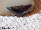 Koroit Boulder Opal Triangular Cabochon Green Fire - radiantrocksct