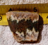 Linda Marie Plume Agate slab (12 grams) - radiantrocksct