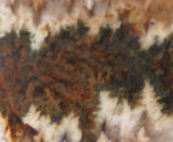 Linda Marie Plume Agate slab (12 grams) - radiantrocksct