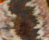 Linda Marie Plume Agate slab (12 grams) - radiantrocksct