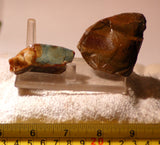 Morrisonite Picture Porcelain Jasper2 pieces rough 4.2 oz (120 grams) - radiantrocksct