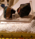Morrisonite Picture Porcelain Jasper 2 pieces rough 3 oz (85 grams) - radiantrocksct
