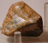 Morrisonite Picture Porcelain Jasper Lapidary Cabochon rough 2.8 oz 80 grams) - radiantrocksct