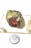 Morrisonite Picture Porcelain Jasper Lapidary rough 1.6 oz (40 grams) - radiantrocksct