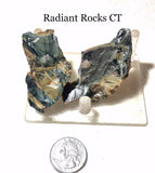 Morrisonite  Porcelain Picture Jasper 2 pieces rough 2.1 oz (60 grams) - radiantrocksct
