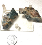 Morrisonite  Porcelain Picture Jasper 2 pieces rough 2.1 oz (60 grams) - radiantrocksct