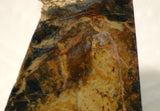 Morrisonite Picture Porcelain Jasper Lapidary Cabochon rough 11.4 oz (320 grams) - radiantrocksct