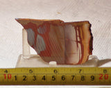 Australian Noreena Jasper Lapidary  slab 1.4 oz (40 grams) - radiantrocksct