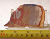 Australian Noreena Jasper Lapidary  slab 1.4 oz (40 grams) - radiantrocksct