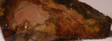 Orbicular Morrisonite Porcelain  Picture Jasper Lapidary rough 2.8oz (85 grams) - radiantrocksct