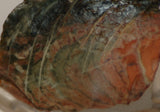 Orbicular Morrisonite Porcelain  Picture Jasper Lapidary rough 2.2 oz (60 grams) - radiantrocksct