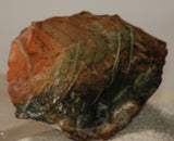 Orbicular Morrisonite Porcelain  Picture Jasper Lapidary rough 2.2 oz (60 grams) - radiantrocksct