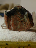 Orbicular Morrisonite Porcelain  Picture Jasper Lapidary rough 2.2 oz (60 grams) - radiantrocksct