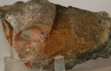 Orbicular Morrisonite Porcelain  Picture Jasper Lapidary rough 4.4oz (120 grams) - radiantrocksct