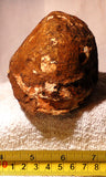Piranha Brazilian banded Agate rough ~1.2 lbs -windchimes, sun catchers (573 gm) - radiantrocksct