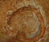 Piranha Brazilian banded Agate rough ~2.1 lbs  958 grams - radiantrocksct