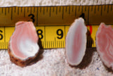 Australian Queensland agate slabs  (4) 12 gms (0.4 oz) pink red white great banding - radiantrocksct