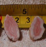 Australian Queensland agate slabs  (4) 12 gms (0.4 oz) pink red white great banding - radiantrocksct