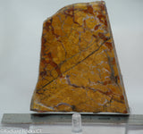 Stone Canyon Jasper Agate Lapidary slab 5.2 oz (150 gram)