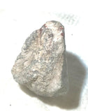 Utah Red Coral Lapidary end 0.8 oz (24 grams) - radiantrocksct